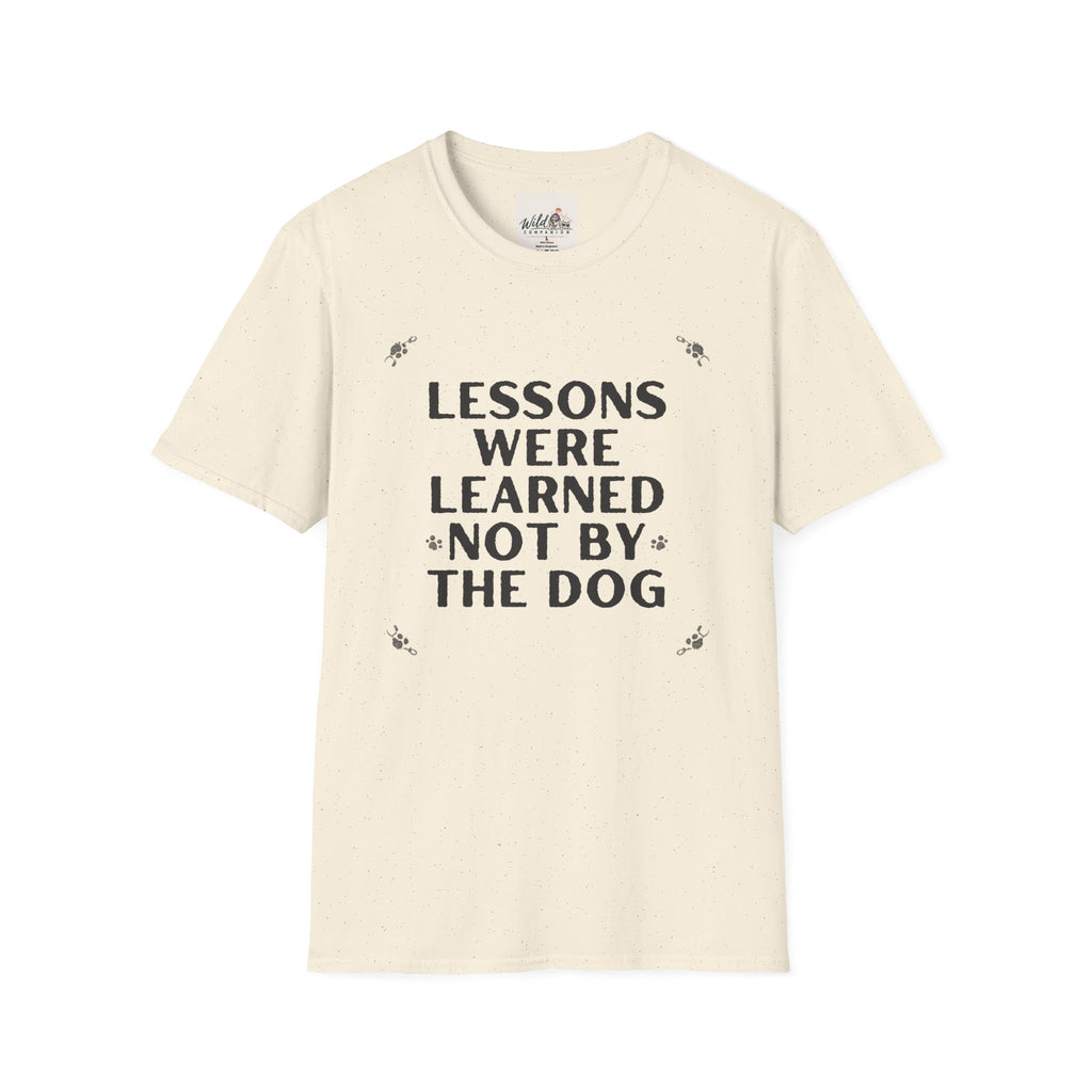 Lesson Learned 2 T-Shirt